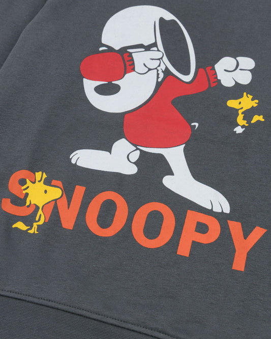 Boys Fashion Track Suit grey